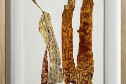 Werk op papier barkbast, Peel off I