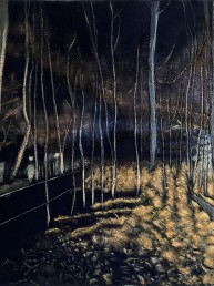Schilderij van Alexandra Verkerk op fake bont, acrylverf, je ziet een bos in de nacht beschenen door auto's en spannende sfeer