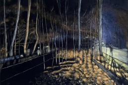 Schilderij van Alexandra Verkerk op fake bont, acrylverf, je ziet een bos in de nacht beschenen door auto's en spannende sfeer