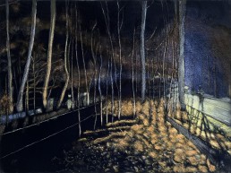 Schilderij van Alexandra Verkerk op fake bont, acrylverf, je ziet een bos in de nacht beschenen door auto's en spannende sfeer