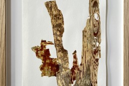 Werk op papier barkbast, Peel off II