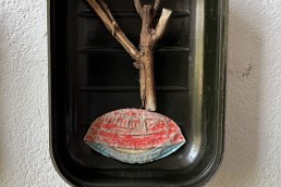 Object trouve in zeepdoosje