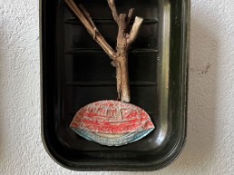 Object trouve in zeepdoosje