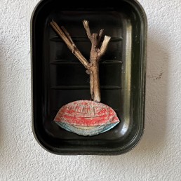 Object trouve in zeepdoosje