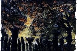Schilderij ALexandra Verkerk, New day bos in de ochtend